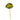 Vela Adorno F.C. Golden Black