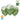 GLOBO R12 M.G. RETRO VERDE PALTA X 25