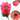 VELA FLOR MUSICAL 12X6CM BOX