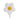 GLOBO MYLAR FLOR 43 X 33 BLANCA